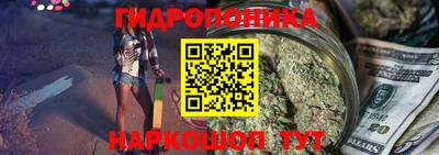 индика Рузаевка