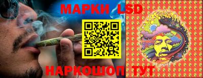 индика Рузаевка