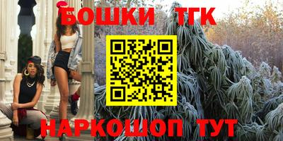 индика Рузаевка