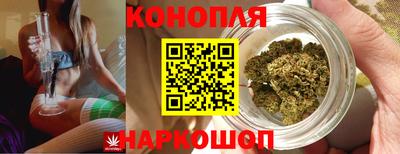 mdpv Рыбинск