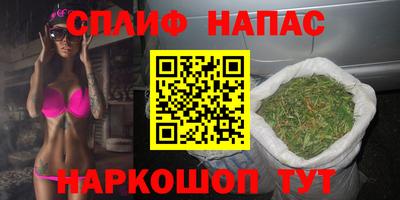 индика Рузаевка