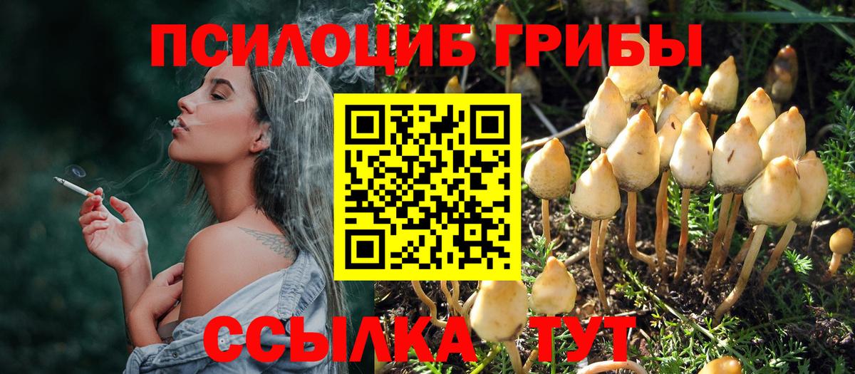 Псилоцибиновые грибы Magic Shrooms  Вход с VPN  Новотроицк  Галлюциногенные грибы мицелий 